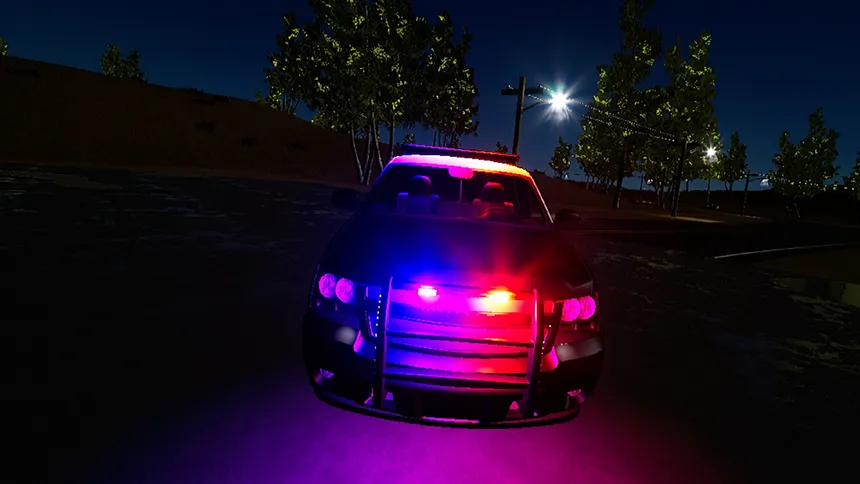 Скриншот 2 к игре Police Enforcement VR : 1-King-27