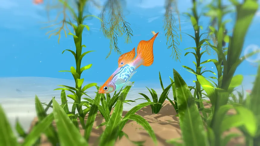 Скриншот 1 к игре FISHERY