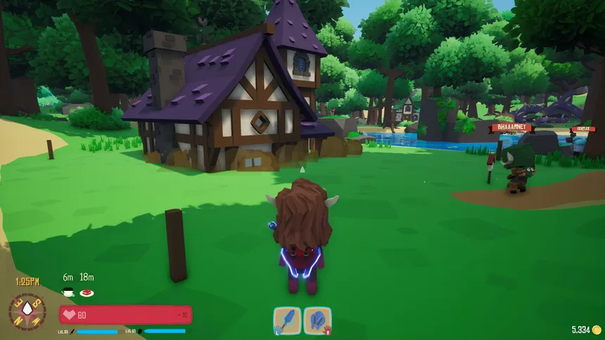 Скриншот 3 к игре Swords 'n Magic and Stuff