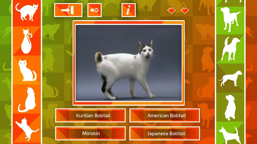 Скриншот 1 к игре JQ: dogs & cats