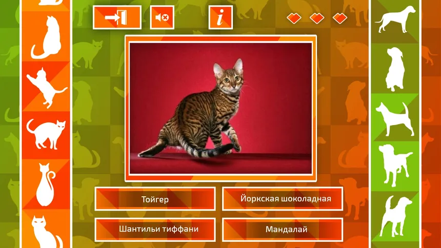Скриншот 2 к игре JQ: dogs & cats