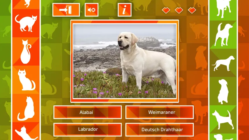 Скриншот 3 к игре JQ: dogs & cats