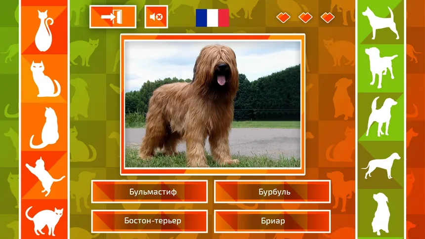 Скриншот 4 к игре JQ: dogs & cats