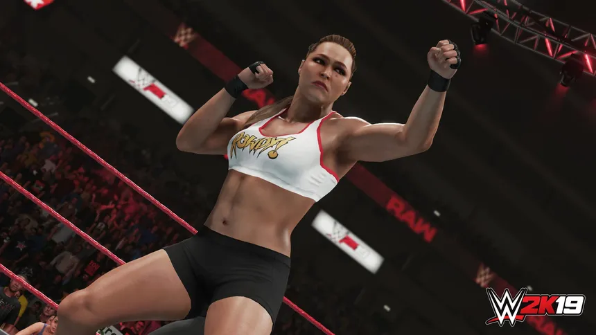 Скриншот 1 к игре WWE 2K19