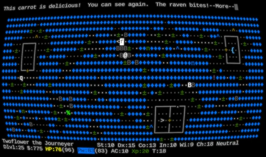 Скриншот 5 к игре NetHack: Legacy