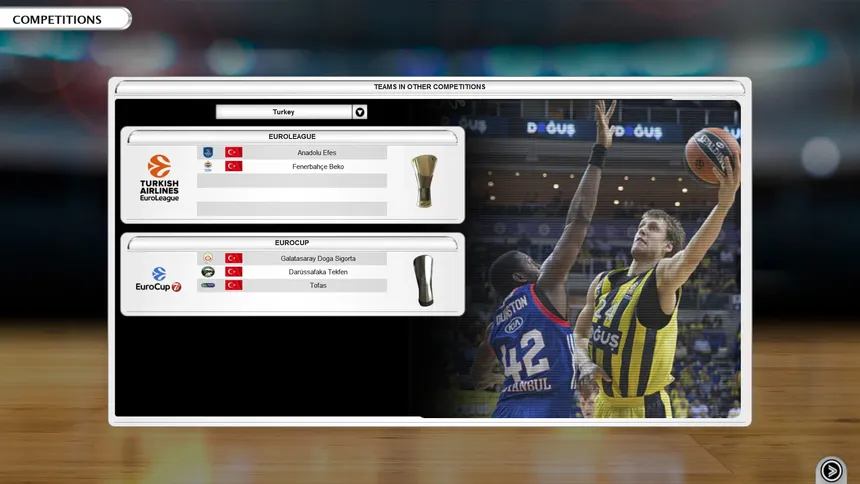 Скриншот 2 к игре International Basketball Manager