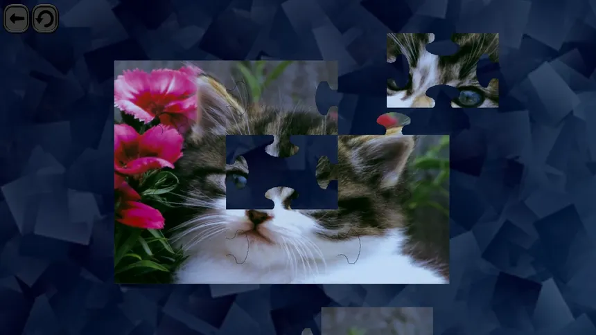 Скриншот 3 к игре Puzzles for smart: Cats