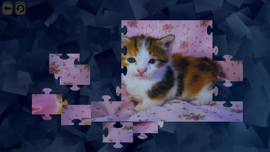 Скриншот 4 к игре Puzzles for smart: Cats