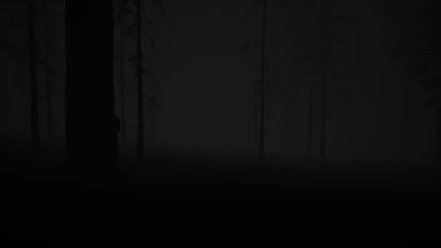 Скриншот 2 к игре Study of Unusual: Forest of Secrets