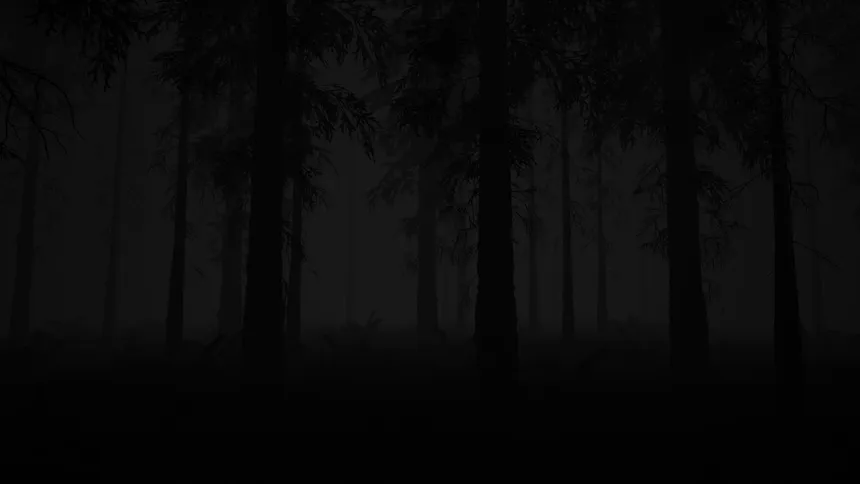 Скриншот 4 к игре Study of Unusual: Forest of Secrets