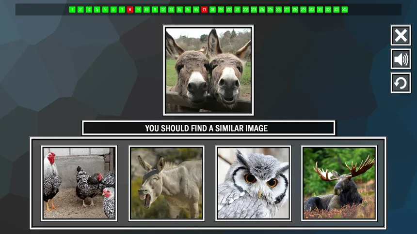 Скриншот 1 к игре Repeat the image: Animals