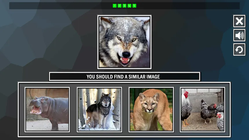 Скриншот 2 к игре Repeat the image: Animals