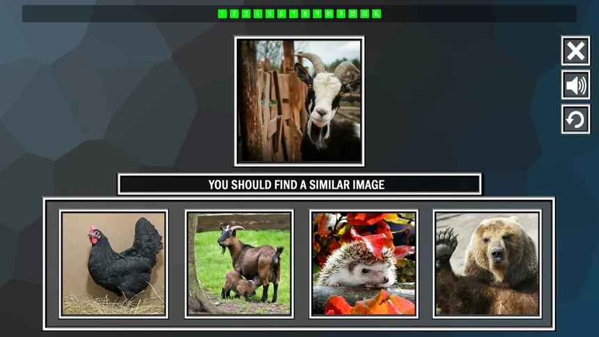 Скриншот 3 к игре Repeat the image: Animals