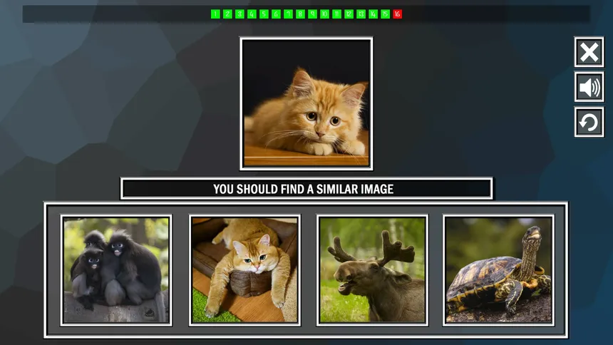 Скриншот 4 к игре Repeat the image: Animals