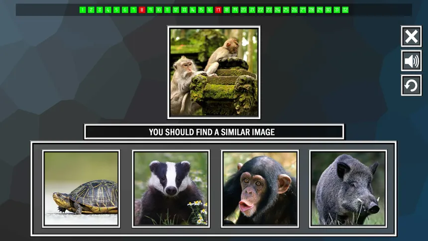 Скриншот 5 к игре Repeat the image: Animals