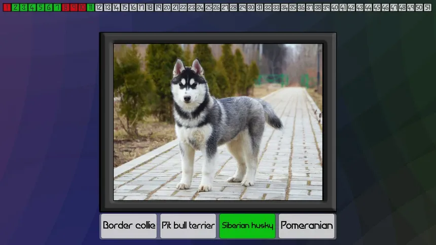 Скриншот 2 к игре Test your knowledge: Dogs