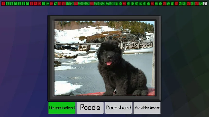 Скриншот 6 к игре Test your knowledge: Dogs