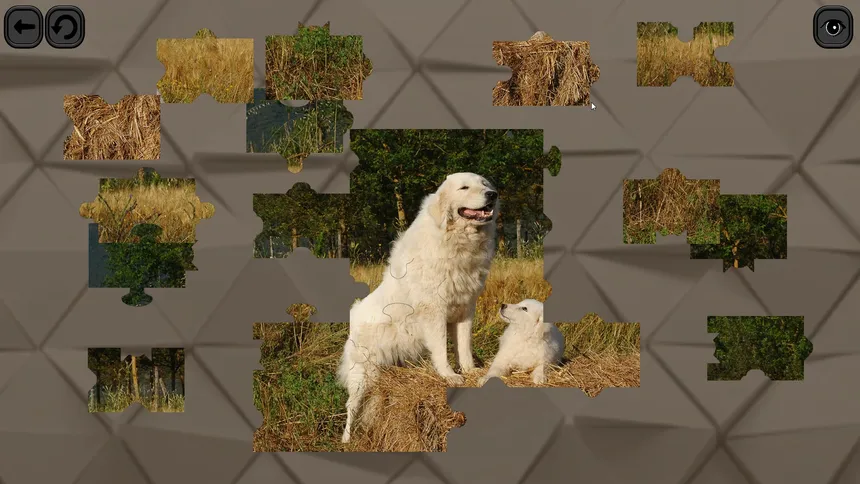 Скриншот 3 к игре Puzzles for smart: Dogs