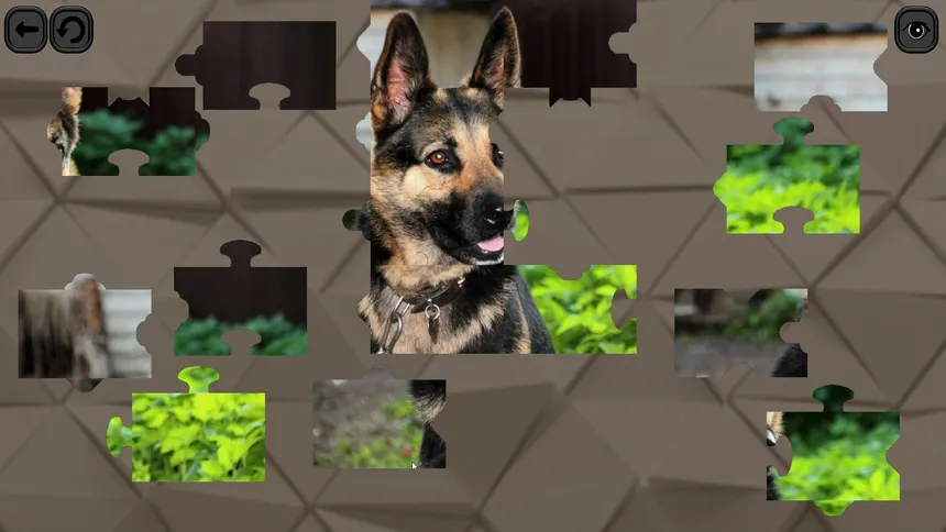 Скриншот 4 к игре Puzzles for smart: Dogs