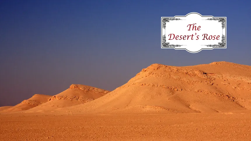Скриншот 5 к игре The Desert's Rose