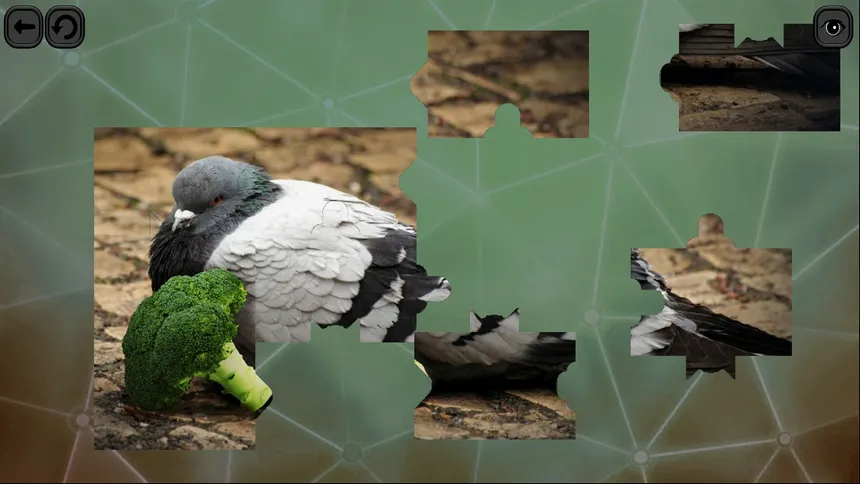 Скриншот 1 к игре Puzzles for smart: Birds