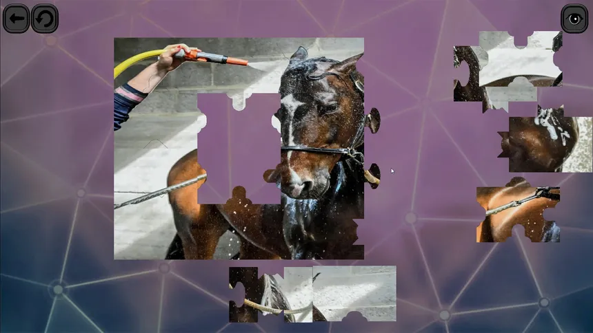 Скриншот 1 к игре Puzzles for smart: Horses