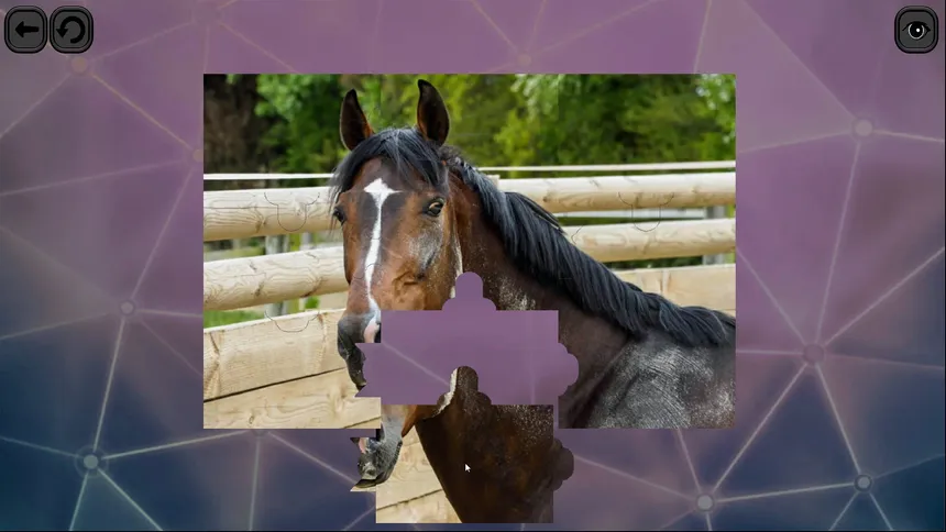 Скриншот 2 к игре Puzzles for smart: Horses