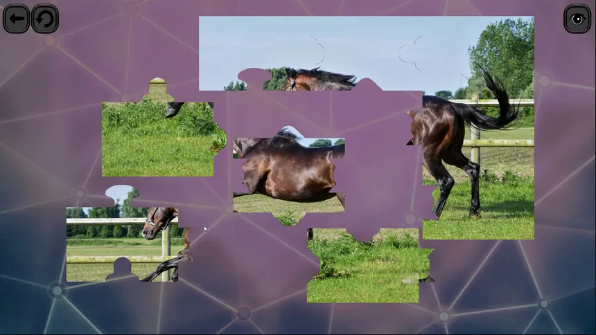 Скриншот 4 к игре Puzzles for smart: Horses