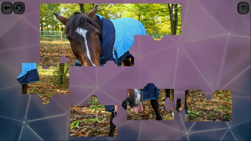 Скриншот 5 к игре Puzzles for smart: Horses