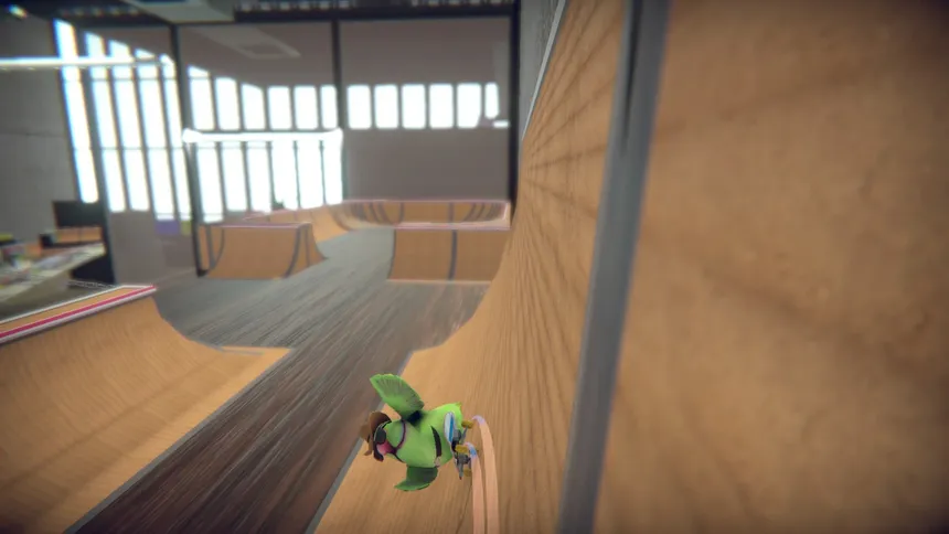 Скриншот 5 к игре SkateBIRD