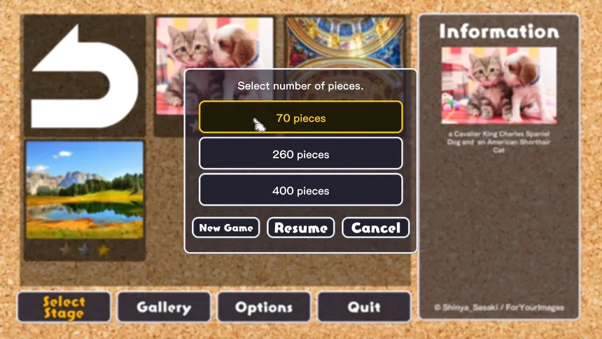 Скриншот 2 к игре Jigsaw Masterpieces