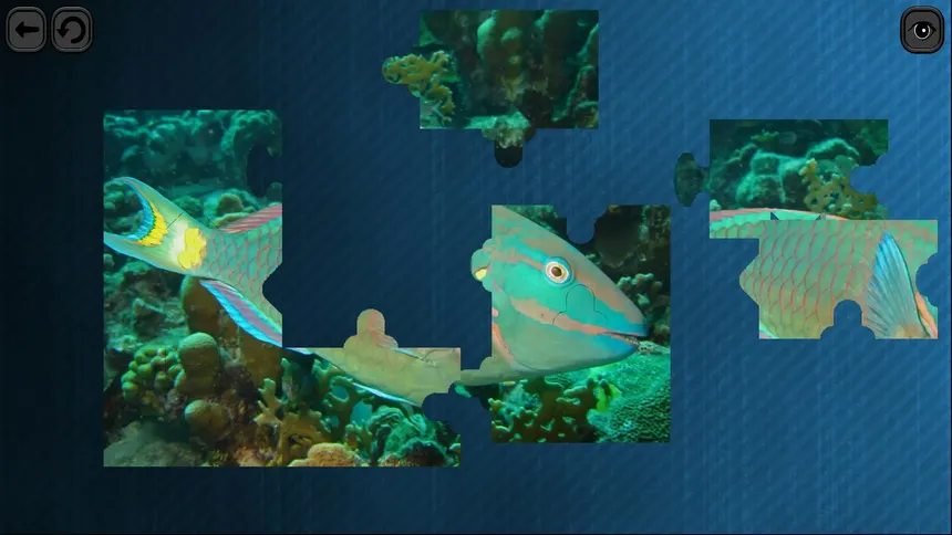 Скриншот 1 к игре Puzzles for smart: Underwater Kingdom