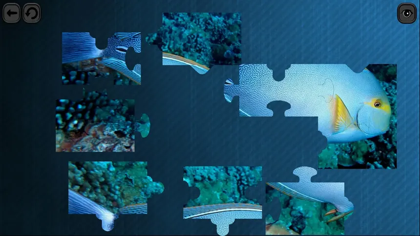 Скриншот 2 к игре Puzzles for smart: Underwater Kingdom