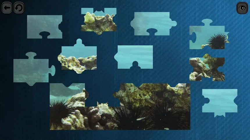 Скриншот 5 к игре Puzzles for smart: Underwater Kingdom