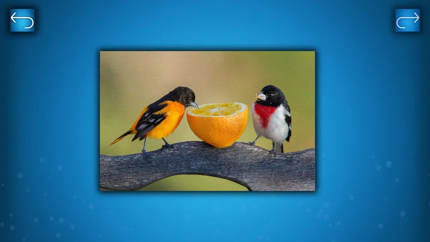 Скриншот 1 к игре PUZZLE: BIRDS