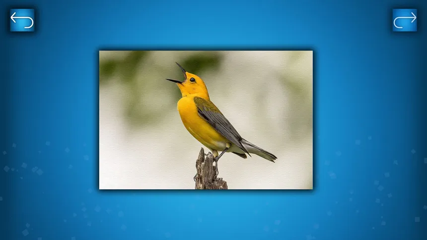 Скриншот 2 к игре PUZZLE: BIRDS