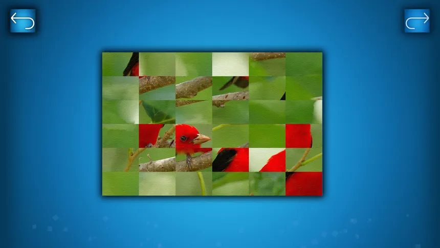Скриншот 4 к игре PUZZLE: BIRDS