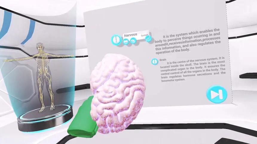 Скриншот 3 к игре VRLab Academy Anatomy VR