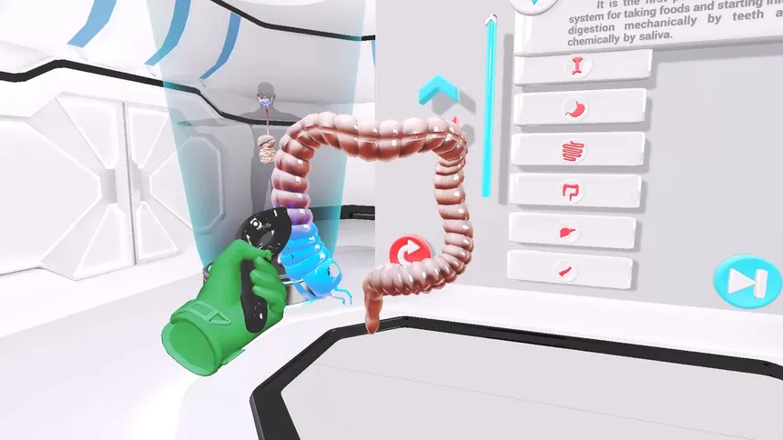 Скриншот 4 к игре VRLab Academy Anatomy VR
