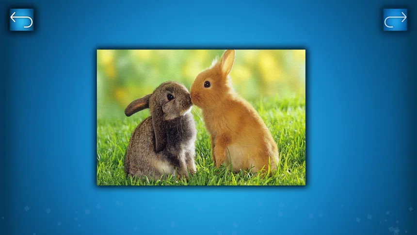 Скриншот 2 к игре PUZZLE: ANIMALS