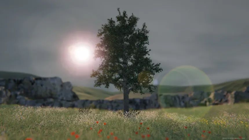 Скриншот 1 к игре Tree Simulator 2020