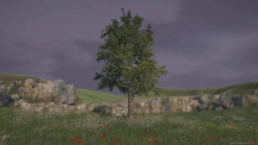 Скриншот 4 к игре Tree Simulator 2020