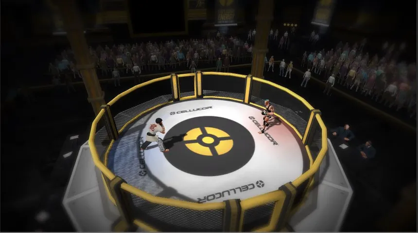 Скриншот 8 к игре MMA Arena