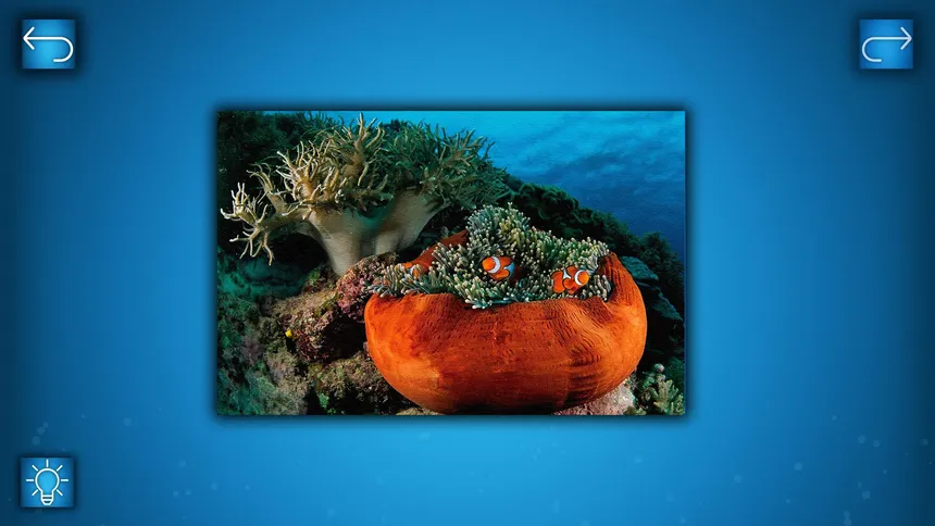 Скриншот 3 к игре PUZZLE: OCEAN