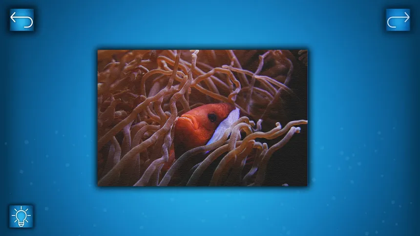 Скриншот 5 к игре PUZZLE: OCEAN