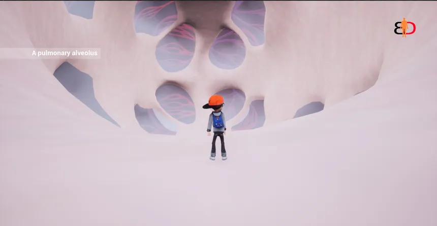 Скриншот 6 к игре Body Discovery