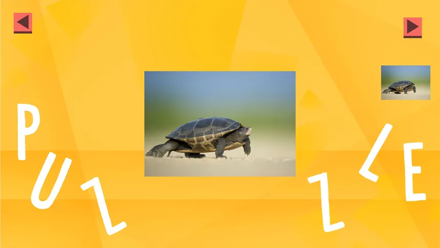 Скриншот 1 к игре Game Of Puzzles: Animals