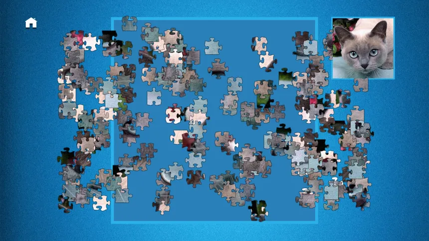 Скриншот 3 к игре PUZZLE: ULTIMATE