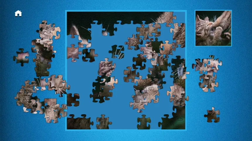 Скриншот 5 к игре PUZZLE: ULTIMATE