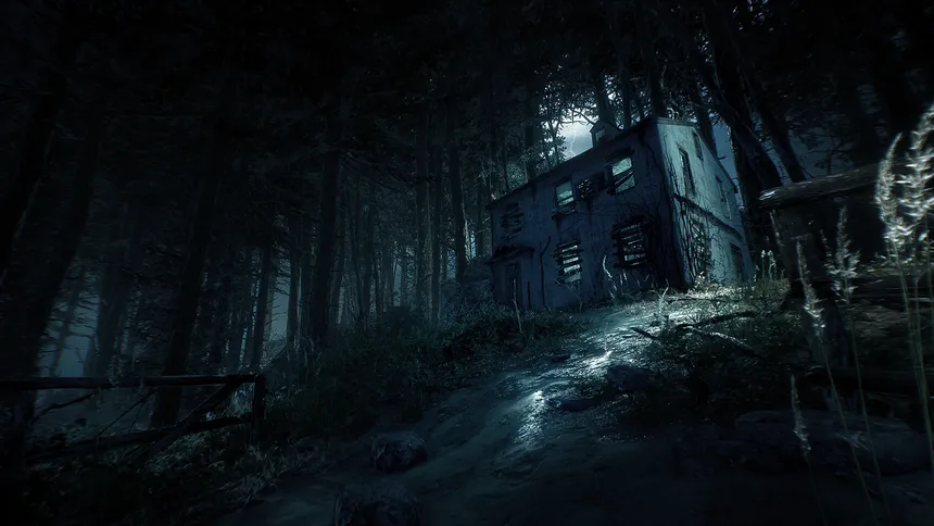 Скриншот 6 к игре Blair Witch